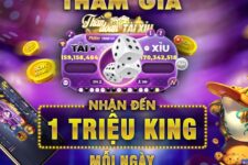 Hướng dẫn mẹo chơi tài xỉu King Tips cho người chơi mới