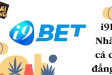 i9Bet – Nhà cái cá cược đẳng cấp hàng đầu thị trường 2024